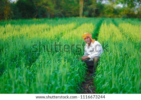 Indian farmer holding crop plant in his Wheat field Royalty-Free Stock Photo #1116673244