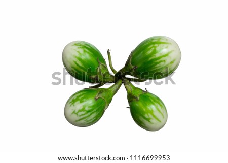 Thai Eggplant,Yellow berried nightshade or kantakari isolated on white background with clipping path.Scientific name is Solanum xanthocarpum Schrad.