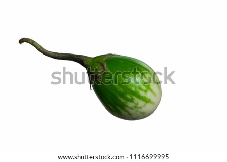 Thai Eggplant,Yellow berried nightshade or kantakari isolated on white background with clipping path.Scientific name is Solanum xanthocarpum Schrad.