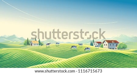 Herd of cows  in summer rural landscape at dawn among fields and pastures. Vector illustration. Royalty-Free Stock Photo #1116715673