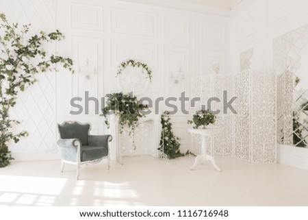 
luxury delicate interior of the living room and bedroom in light colors with expensive chic carved furniture in classic style