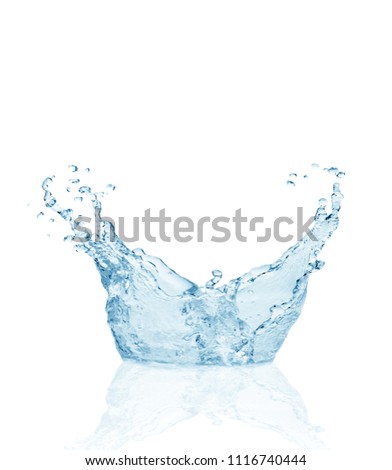 Water splash ,water splash isolated on white background
