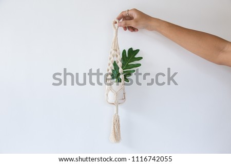 Hand holding Macrame plant hanger (leaf of Philodendron Xanadu).minimal style Royalty-Free Stock Photo #1116742055