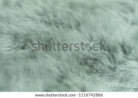 Gray soft wool texture close up,cotton wool background