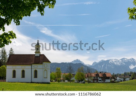 Green meadow with buttercup (ranunculus) and dandelion (taraxacum) flowers with Alps in background and a church in foreground, picture from outside Fussen Germany.