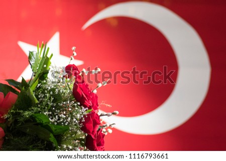 Beautiful Turkish flag
