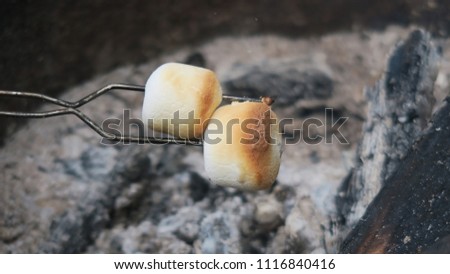 Roasting marshmallows for smores.