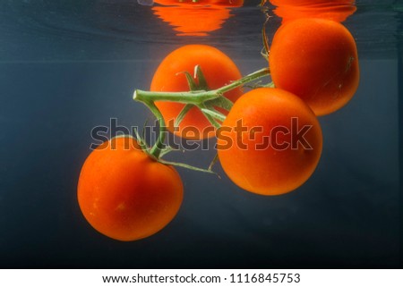 Ripe tomatoes fall into the water. Splash of water.
