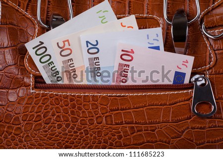 Euro Money Banknotes in the Bag