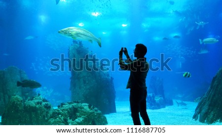 Silhouette of a man in an aquarium Royalty-Free Stock Photo #1116887705
