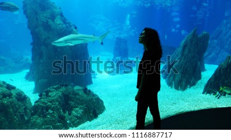 Silhouette of a woman in an aquarium