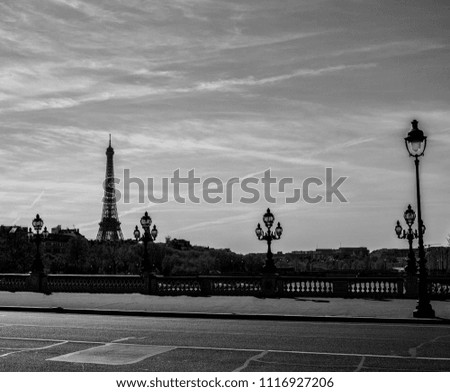 Pont Alexandre III with the Eiffel Tower in the background, black and white