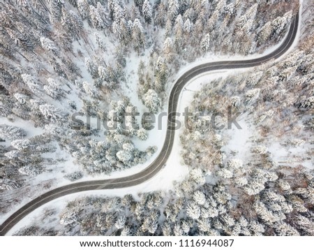 Road crossing a forest in Transylvania. Fresh snow and a beutiful forest - view from the air.