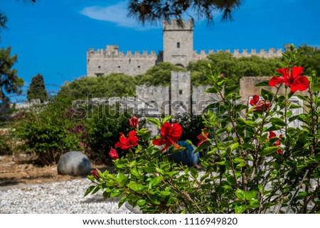 Picture of red hibiscus flower in old town Rhodes, Greece