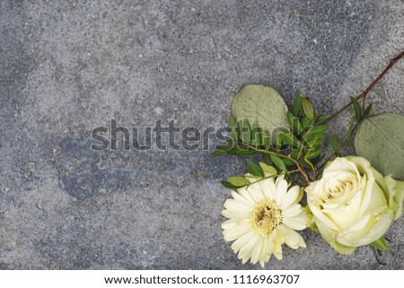 Champagne colored rose and beige gerbera lie on dark concrete background.
