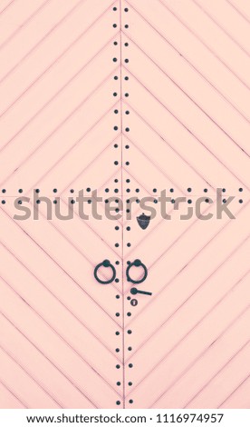 Pink door in gothic old town. Pastel colors. Minimalism.