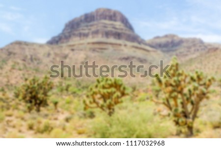 Defocused background of Spirit Mountain and Joshua Trees, Grand Canyon. Intentionally blurred post production for bokeh effect