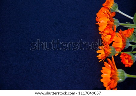 mane orange flowers on a black background