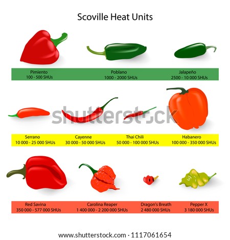 SCOVILLE-SCALE Stock Vector Images - Avopix.com