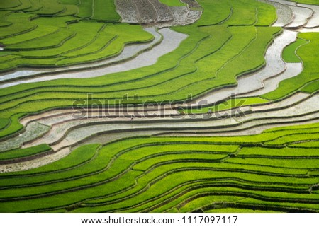 The image is as beautiful as the oil painting of terraced field. Curved lines of Terraced rice field during the watering season at the time before starting to grow rice in Mu Cang Chai