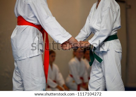 Children in a white kimono during an exercise aikido in the gym Royalty-Free Stock Photo #1117104272