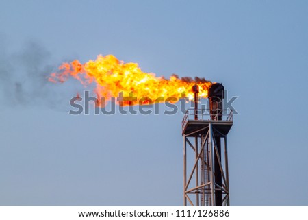 Fire on flare blow out in Offshore oil and Gas central processing platform and remote platform produced oil, natural gas and liquid condensate for set to onshore refinery from offshore in ocean sea. Royalty-Free Stock Photo #1117126886