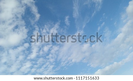 Soft, blue sky background.