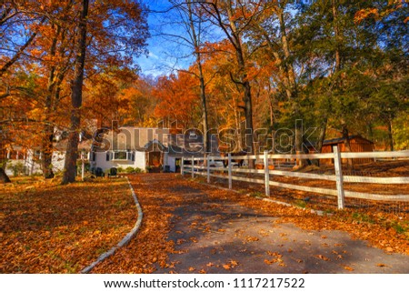 wooden trendition house and box stall are surrounded by autumn trees in fall season on the mountain in East of United States  Royalty-Free Stock Photo #1117217522