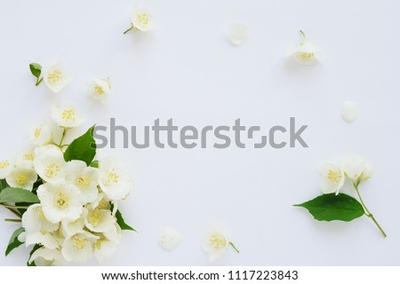 Jasmine flowers frame top view, flat lay.	 Royalty-Free Stock Photo #1117223843