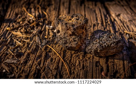 A sunset picture of old, rotted wood with two small lava rocks, soft golden light with lots of long shadows