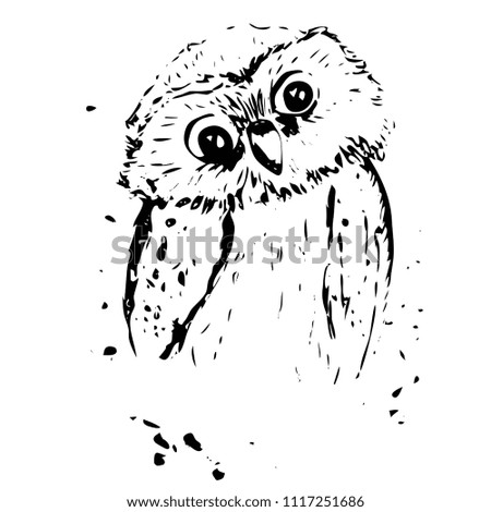 Vector illustration of cute owl drawing ink drawing