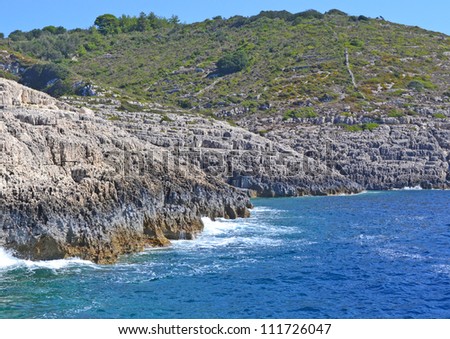 Sea rocky coast overgrown with the wood