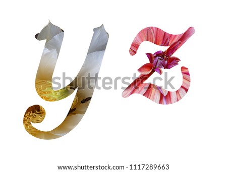 Flower font letters alphabet y,z on white background