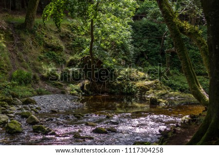 Tollymore Forest Park in Northern Ireland