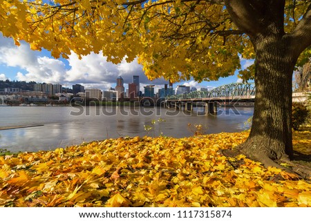 Fall Foliage under the Maple tree with Portland Oregon city skyline by Hawthorne Bridge along Willamette River