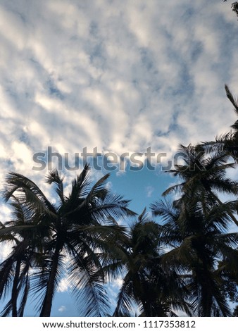 Those clouds and Coconut trees