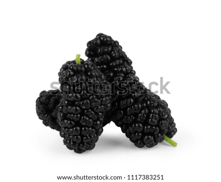Mulberry berry with leaf isolated on white background 
