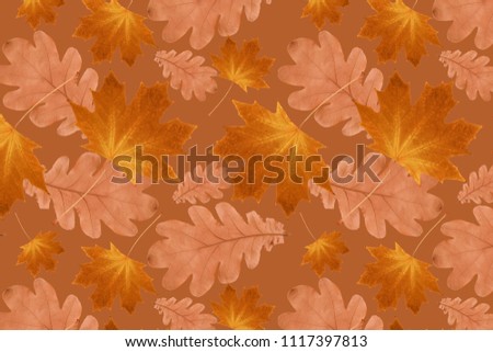 autumn pattern from dry maple and oak leaves on a brown background