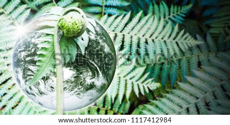 Planet earth with beautiful freshness growth tree fern and drop of water on outdoor summer fern forest background.
Earth image furnished by NASA.