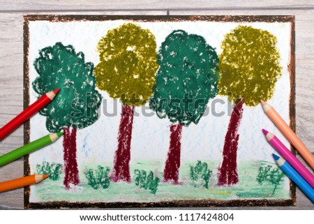 Colorful hand drawing and crayons: deciduous trees. Spring forest. 