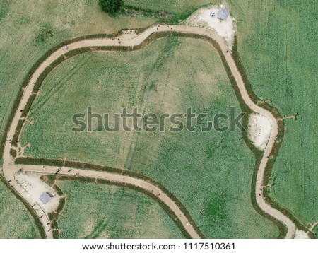 The landscape of the Buckwheat field.