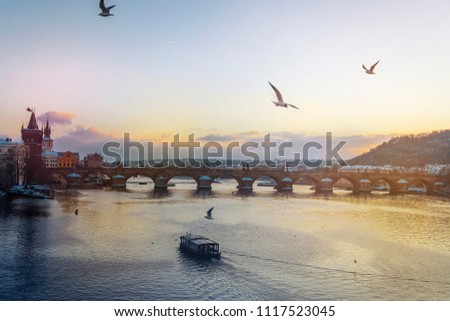 Sea gull. Charles Bridge in Prague. Boat on the Vlatva river. Sunset in the czech republic. Winter. Water and boat