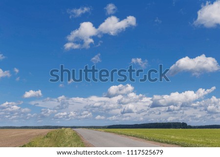 close-up of a country road among the fields