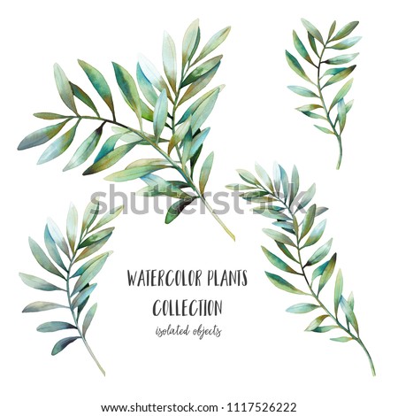 Watercolor plants with long leaves set. Hand painted floral clip art: branches isolated on white background. 