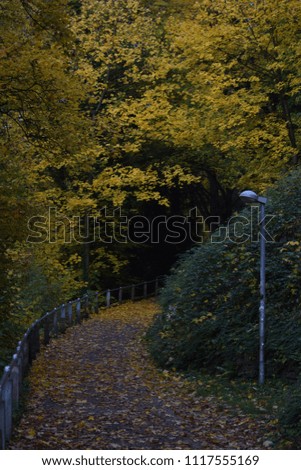 Park path with autumn leaves and railings