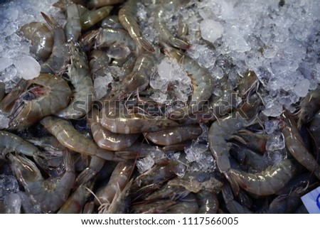 Fresh shrimp seafood market Thailand