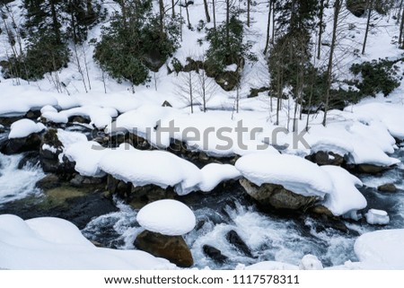 Winter river forest snow