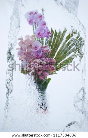 Frozen bouquet of orchid