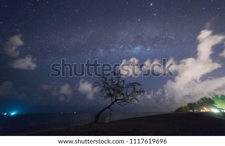 Landscape with night starry sky and silhouette of tree by a beach in Terengganu, Malaysia. Milky way with lonely tree, falling stars. Universe