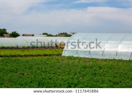 Greenhouse for growing vegetables, blue sky, farming, hot summer day